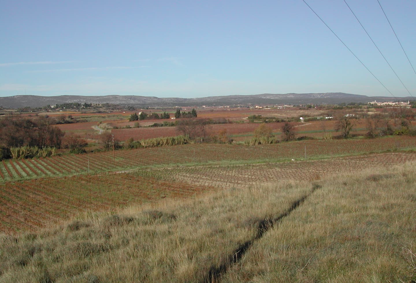 Bassin versant de la lagune de Thau