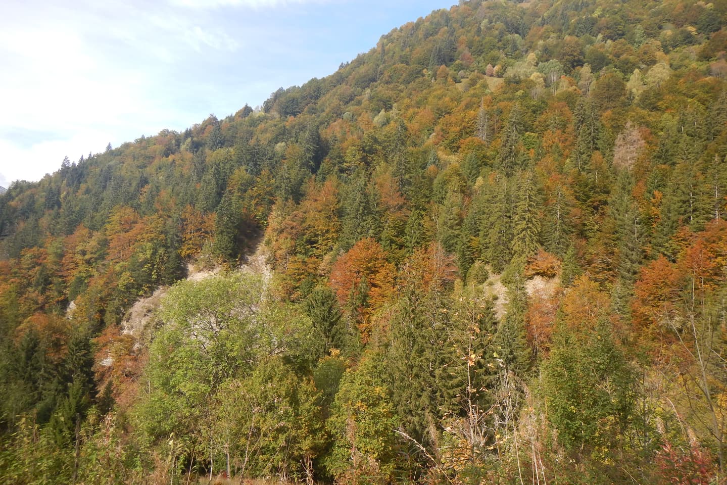 Gradient Méditerrano-Alpin de Placettes forestières