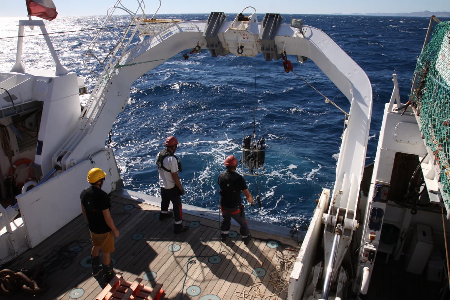 Communautés planctoniques marines