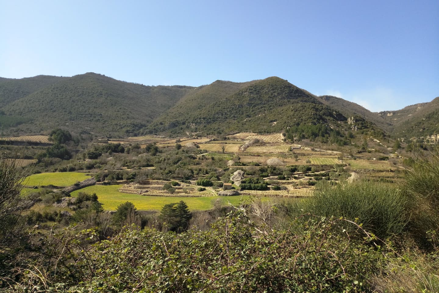 Données hydrogéophysiques du SNO OMIV