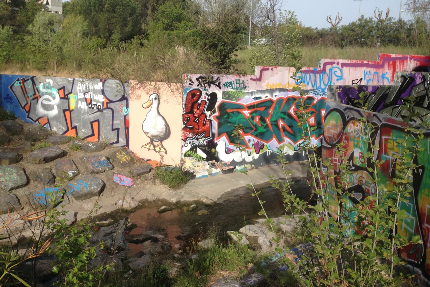 Résistance aux antibiotiques dans le bassin du Lez