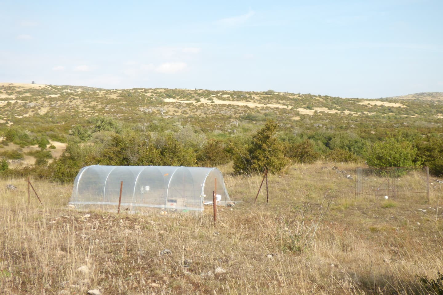 Dynamique de la végétation