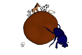 Coléoptères coprophages pour l'enseignement agricole